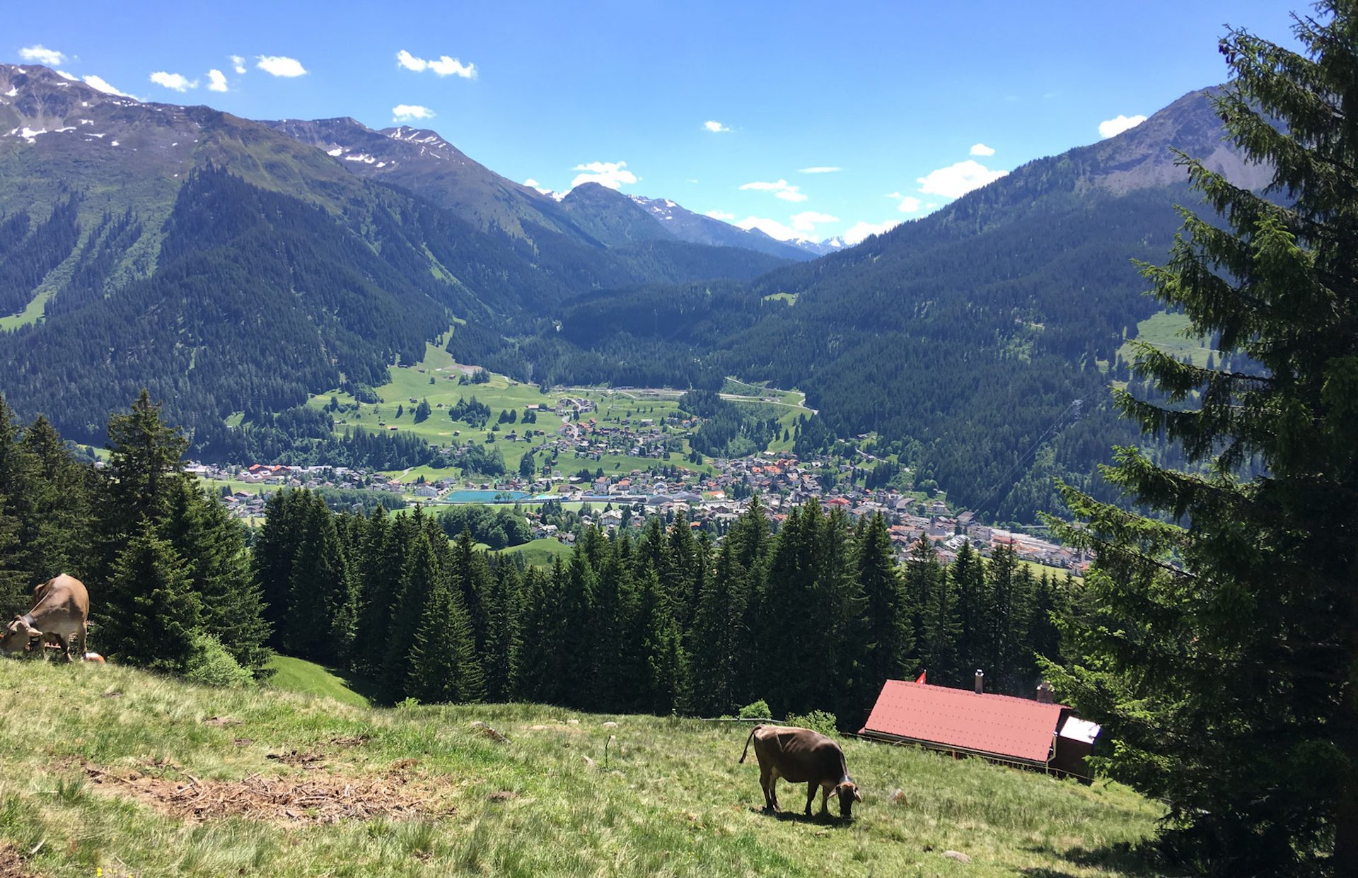 IG Zweitwohnung Klosters
